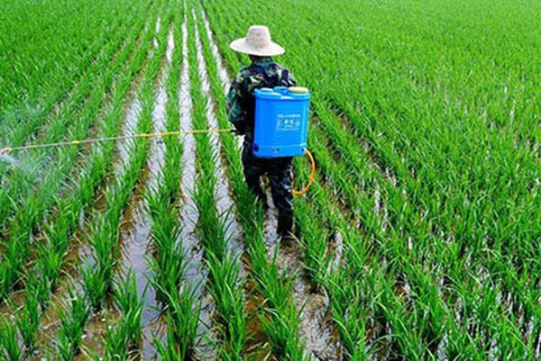  超级实用的农业口诀顺口溜